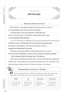 SM play manual, English