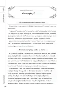 SM play manual, English