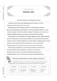 SM play manual, English