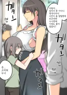 Seiyoku Tsuyome na Onee-chan to Icha Love Orusuban Ecchi!, 한국어