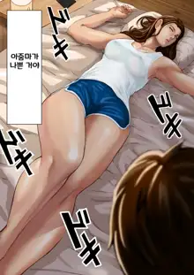 Ayamachi no Rensa ㅣ 실수의 연쇄, 한국어