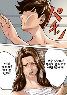 Ayamachi no Rensa ㅣ 실수의 연쇄, 한국어