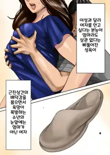 Ayamachi no Rensa ㅣ 실수의 연쇄, 한국어