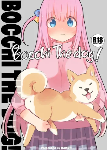 Bocchi the Dog!, English