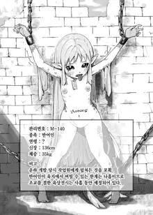 Isekai Dorei Ichiba ni Ittemita. | 이세계 노예시장에 가 보았다., 한국어