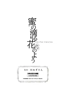 蜜の滴る花のよう, 日本語