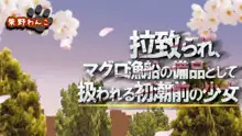 拉致られ、マグロ漁船の備品として扱われる初潮前の少女, 日本語