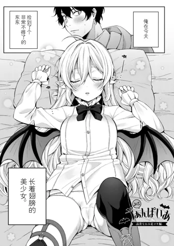 Puchi Vampire -Kouki na Omi Ashikoki Hen- & Puchi Succubus -Inran Inma Oyakodon Hen-