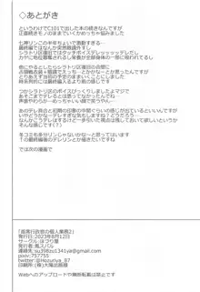 首席行政官の個人業務2, 日本語