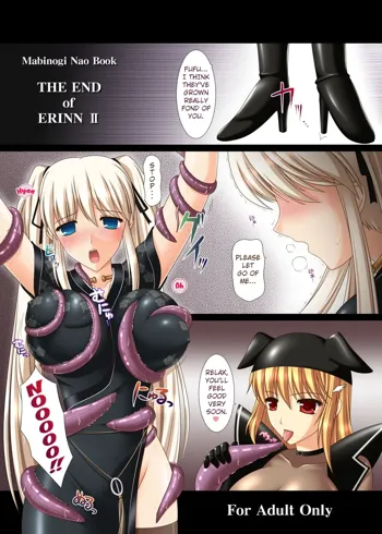 THE END of ERINN II, English