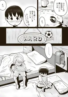 ボクのお姉ちゃん, 日本語