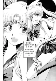 Usagi no Junjou!? Chin Make Bishoujo Senshi!, 한국어