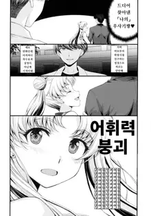 Usagi no Junjou!? Chin Make Bishoujo Senshi!, 한국어