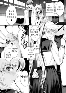 Usagi no Junjou!? Chin Make Bishoujo Senshi!, 한국어