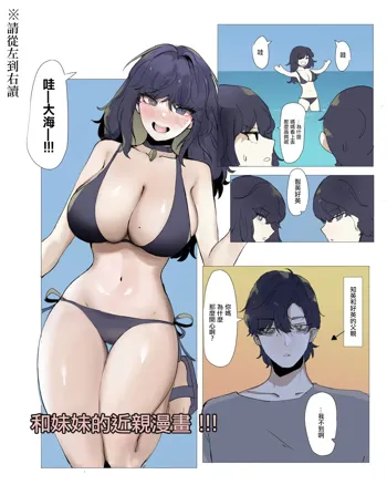 Imouto to Kinshin Suru Manga 5, 中文