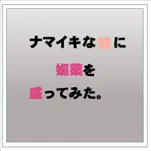 ナマイキな妹に媚薬を盛ってみた。, 日本語