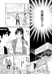 Junjou Strip, 中文