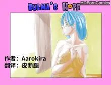 Bulma's Hope EP1【皮断腿个人汉化】, 中文