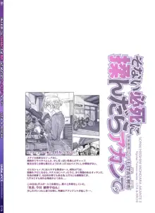 そない必死に揉んだらアカンてッ, 日本語