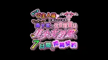 俺の事ご主人様と呼んでくれるランキング最下位のエロ可愛い美少女淫魔と七日間の搾精契約, 日本語