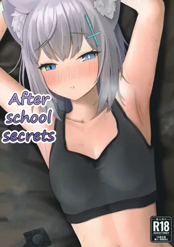 Houkago no Himitsu | After School Secrets