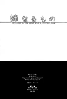 姉なるもの 1-11 【中国翻译】, 中文