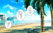 彼女とチャラ男と真夏のアルバイト, 日本語