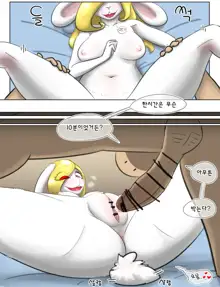 rabbit sister, 한국어