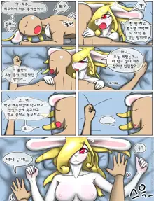 rabbit sister, 한국어