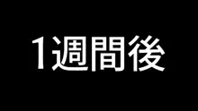 隣人の人妻ギャルを寝取って孕ませてみた。, 日本語