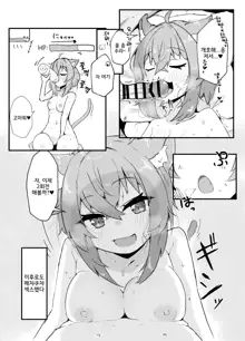 Nekomata Okayu to Iccha Love Ecchi suru Hon | 네코마타 오카유랑 알콩달콩 엣찌하는 책, 한국어