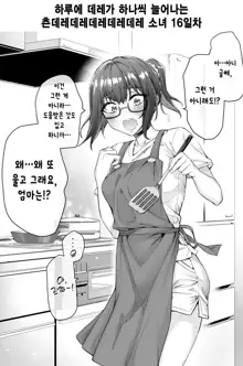 Tsundere-chan Matome!, 한국어