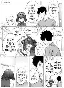 Tsundere-chan Matome!, 한국어