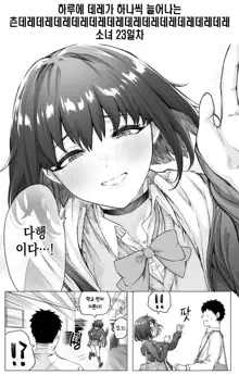 Tsundere-chan Matome!, 한국어