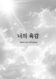 Kimi no Nikukan | 너의 육감, 한국어