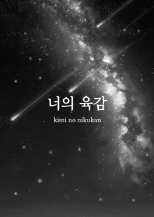 Kimi no Nikukan | 너의 육감, 한국어