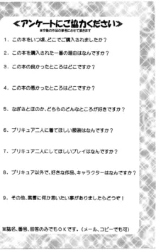 みるくはんたーず3, 日本語