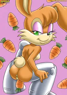 Furry - Sally Acorn Collection, 日本語