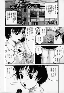 どろんこ花茶碗, 日本語