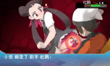 Pokemon Trainer Battle!!, 中文