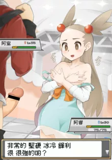 Pokemon Trainer Battle!!, 中文