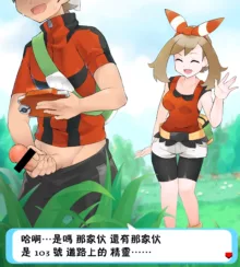 Pokemon Trainer Battle!!, 中文