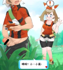 Pokemon Trainer Battle!!, 中文