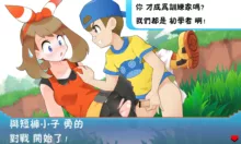 Pokemon Trainer Battle!!, 中文