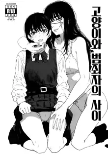 Neko to Hanzaisha no Aida | 고양이와 범죄자의 사이, 한국어