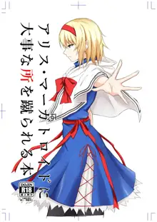 Alice Margatroid ni Daiji na Tokoro o Kerareru Hon, English