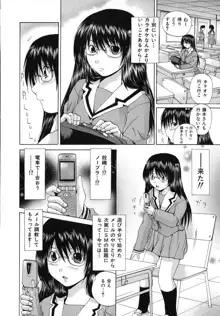 愛玩娘, 日本語