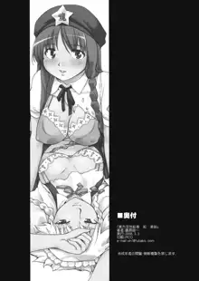 Touhou Ukiyo Emaki Hong Meiling, English