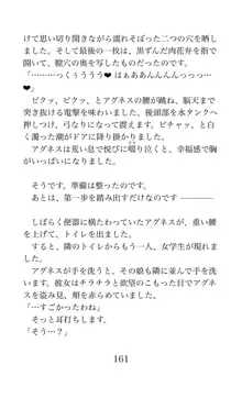 MY substitute husband 〜娘は私の身代わり夫〜, 日本語