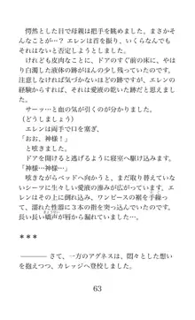 MY substitute husband 〜娘は私の身代わり夫〜, 日本語